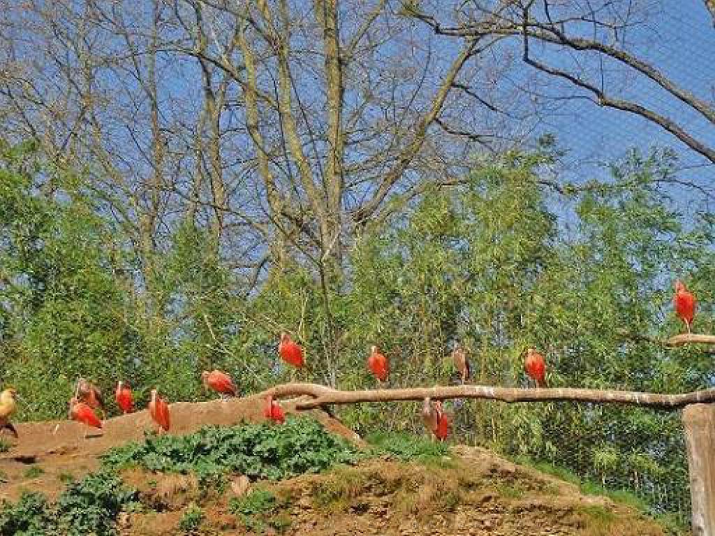 149 BIO PARC DE DOUE LA FONTAINE 6- 2016_000003.jpg